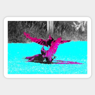 Crows in the power struggle / Swiss Artwork Photography Sticker